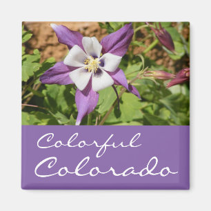 Lila Kolumne Magnet