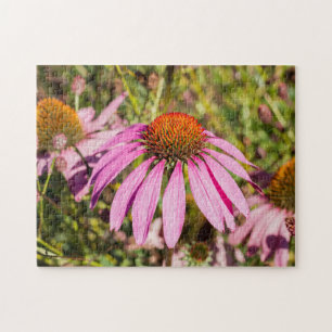 Lila Konflower Jigsaw Puzzle