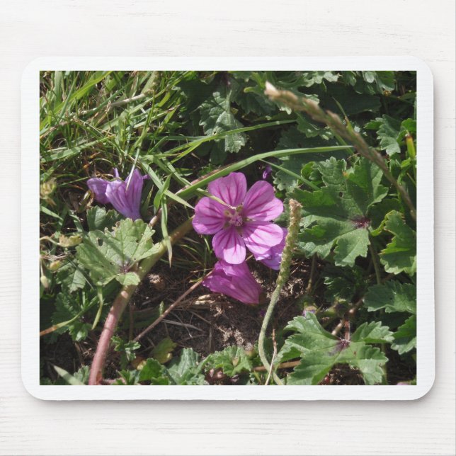 Lila Kranesbill Mousepad (Vorne)