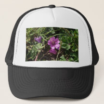 Lila Kranesbill