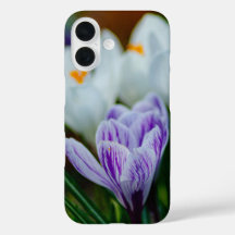 Lila Krokus Frühlingsblumen iPhone 16 Hülle