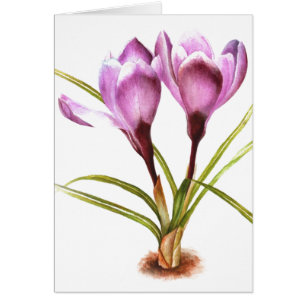"Lila Krokus" Kunst-Alltagskarte ohne Text