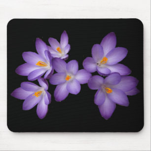 Lila Krokus Mousepad