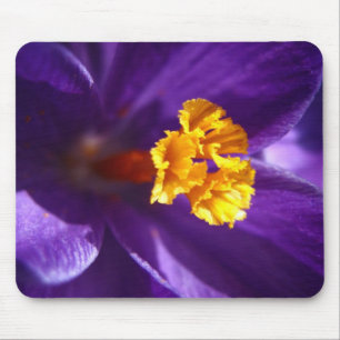 Lila Krokus Mousepad