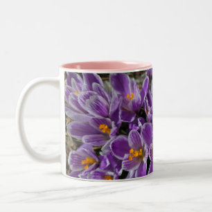 Lila Krokus Zweifarbige Tasse