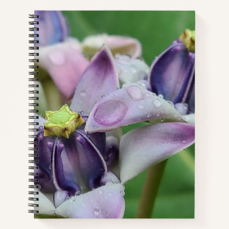 Lila Kronenblumen-Notizbuch Notizbuch