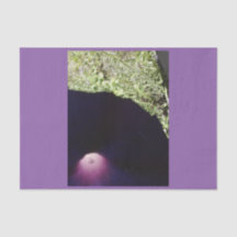 Lila kundenspezifisches mit Blumenseidenpapier