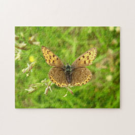 Lila Kupfer-Schmetterling-Foto-Puzzle Puzzle