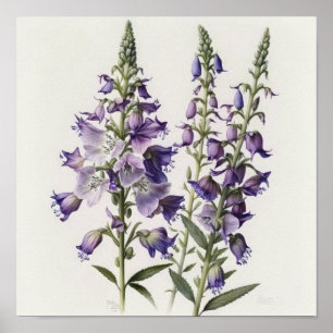 Lila Larkspur Blume Art Print Poster