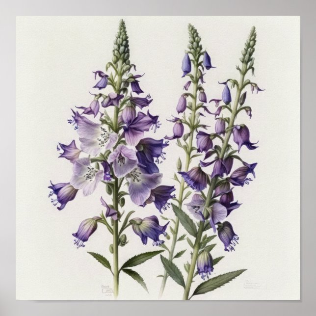 Lila Larkspur Blume Art Print Poster (Vorne)