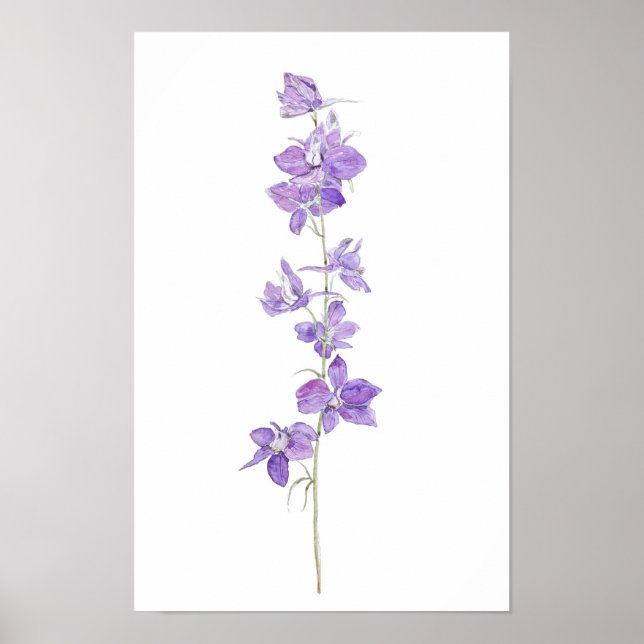 lila Larkspuren Blume Aquarellfarben Poster (Vorne)