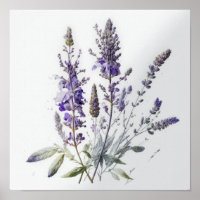 Lila Lavendel-Blume Art Print Poster