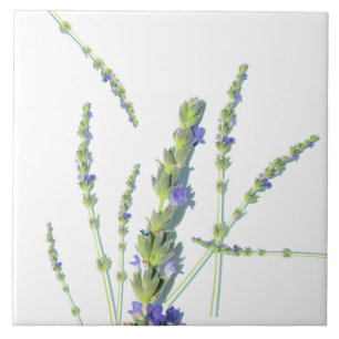 Lila Lavendel-Blume-Blume Fliese