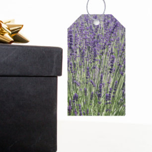 Lila Lavendel-Blume Geschenkanhänger