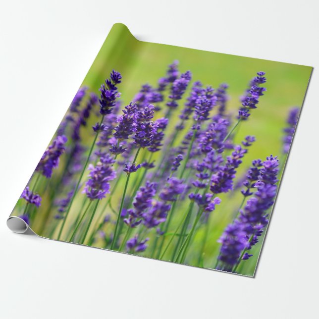 Lila Lavendel-Blume Geschenkpapier (Ungerollt)