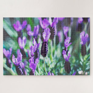 Lila Lavendel-Blume Puzzle