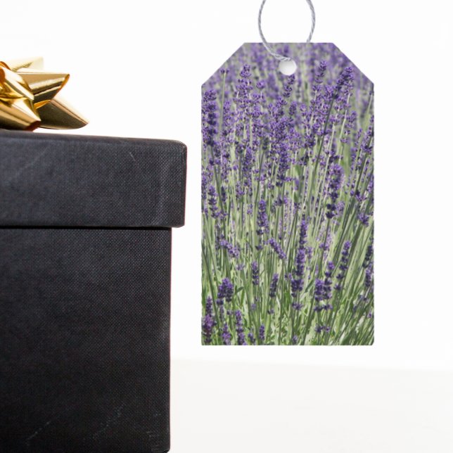 Lila Lavendel-Felder floral Geschenkanhänger (In Situ)