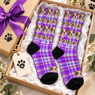 Lila Lavendel-Tartan-Karo-Haustier-Foto Socken