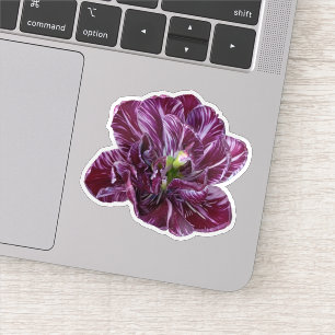 Lila Lavendel Tulpe Floral Aufkleber