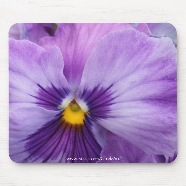 lila Lavendelb7 Pansy Mousepad (Vorne)