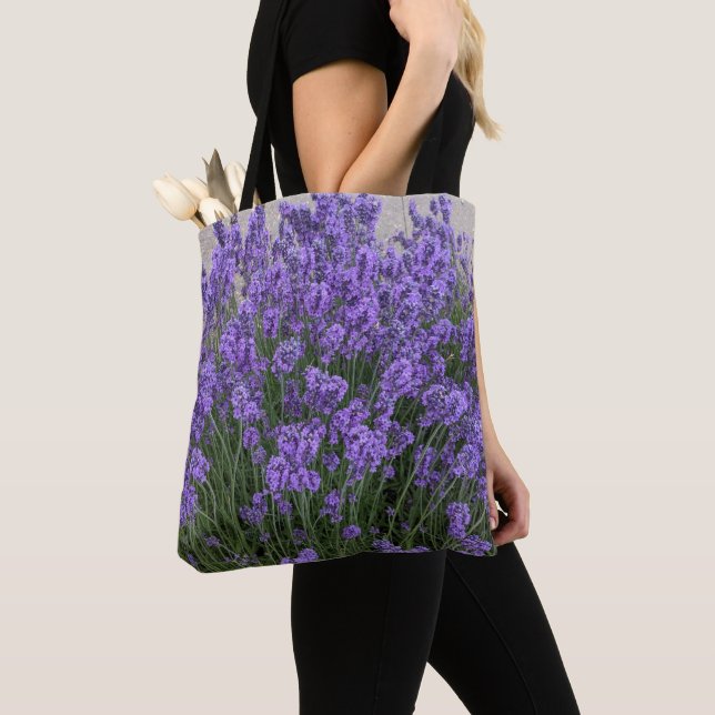Lila Lavendelblüten Blumen (Von Nahem)
