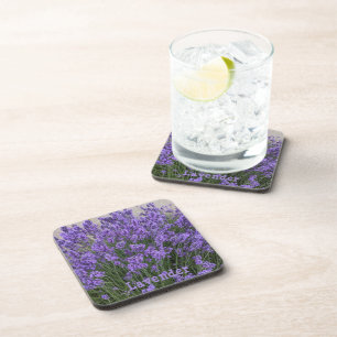 Lila Lavendelblüten Floral Getränkeuntersetzer