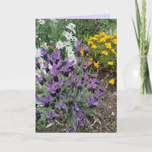 Lila Lavender & Daisy Blume Blumengrüße Karte (Vorderseite)