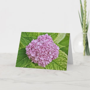 Lila Lavender Hydrangea-Puff-Karte Karte