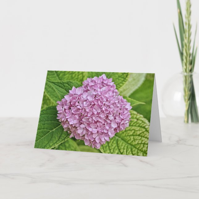 Lila Lavender Hydrangea-Puff-Karte Karte (Vorderseite)