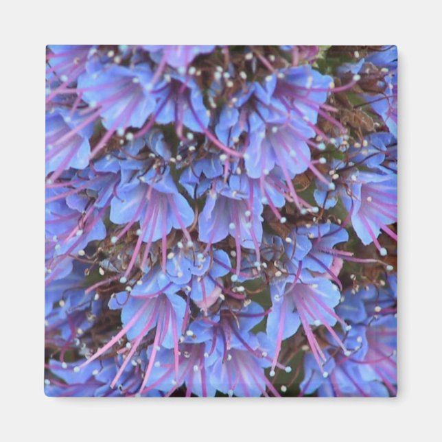 Lila Leidenschaft Magnet (Vorne)