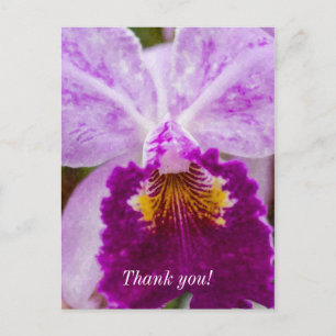 Lila Leidenschaft Orchid Vielen Dank Postkarte