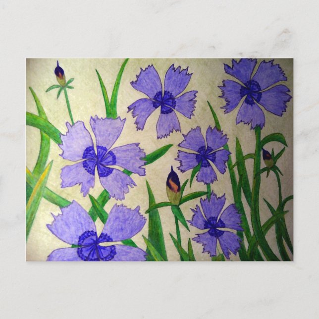 Lila Leidenschaft Postkarte (Vorderseite)