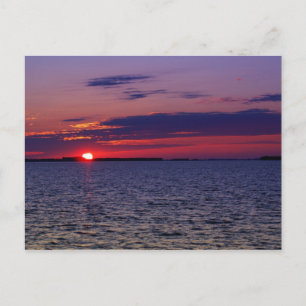 Lila Leidenschaft Postkarte