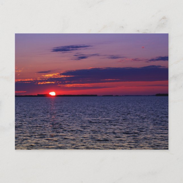 Lila Leidenschaft Postkarte (Vorderseite)