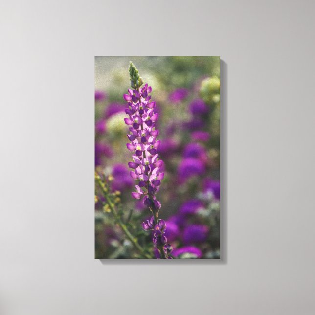 Lila Leinwanddruck (Vorderseite)