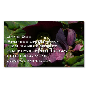 Lila Lenten Rose Ostern Blume Magnetische Visitenkarte