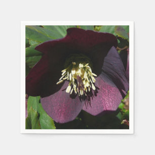 Lila Lenten Rose Ostern Blume Serviette