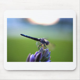 Lila Libelle Mousepad