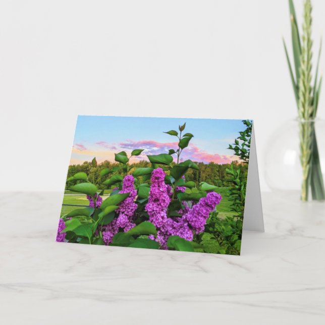 Lila Lila "Haben Sie einen schönen Tag? Karte (Vorderseite)