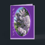 Lila lila ovaler Geburtstag fertigen jede mögliche Karte<br><div class="desc">Ändern Sie die Wörter auf dem äußeren und das inner für jede mögliche Gelegenheit,  die Sie wünschen und sie wird durch jedermann geschätzt,  das sie empfängt. Zu meinen sortierten Blumen,  schönere Blumenkarten u. gehen Geschenk oder Art Flieder in meinem searchbox nahe der Spitze meines rechten Sidebar zu sehen.</div>