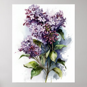 Lila Lilac Blume Art Print Poster