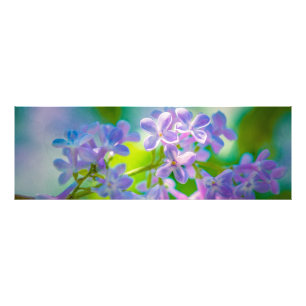 Lila Lilac-Blume Fotodruck