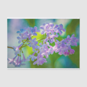 Lila Lilac-Blume Seidenpapier