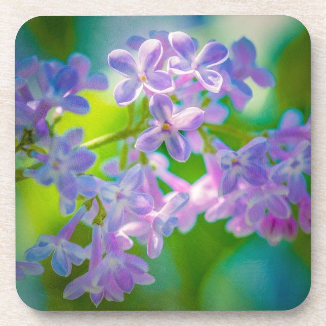 Lila Lilac-Blume Untersetzer (Vorderseite)