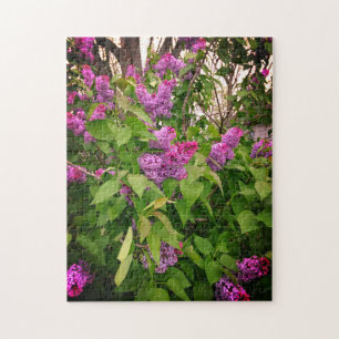 Lila Lilac Bush Puzzle