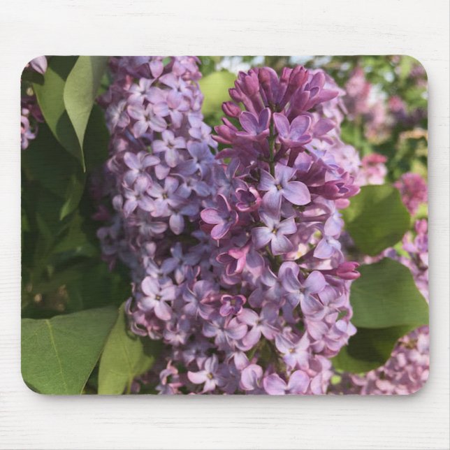 Lila Lilac Mouse Pad Mousepad (Vorne)