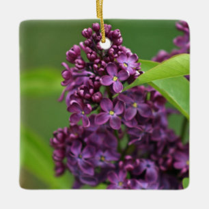 Lila Lilac Ornament