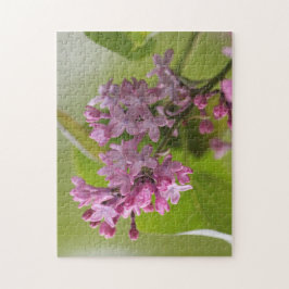 Lila Lilac Puzzle
