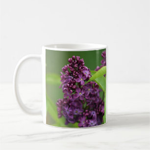 Lila Lilac-Tasse Tasse