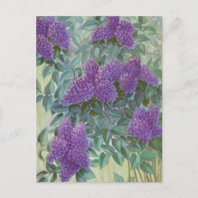 Lila Lilac von Cargill, 1937 Postkarte (Vorderseite)
